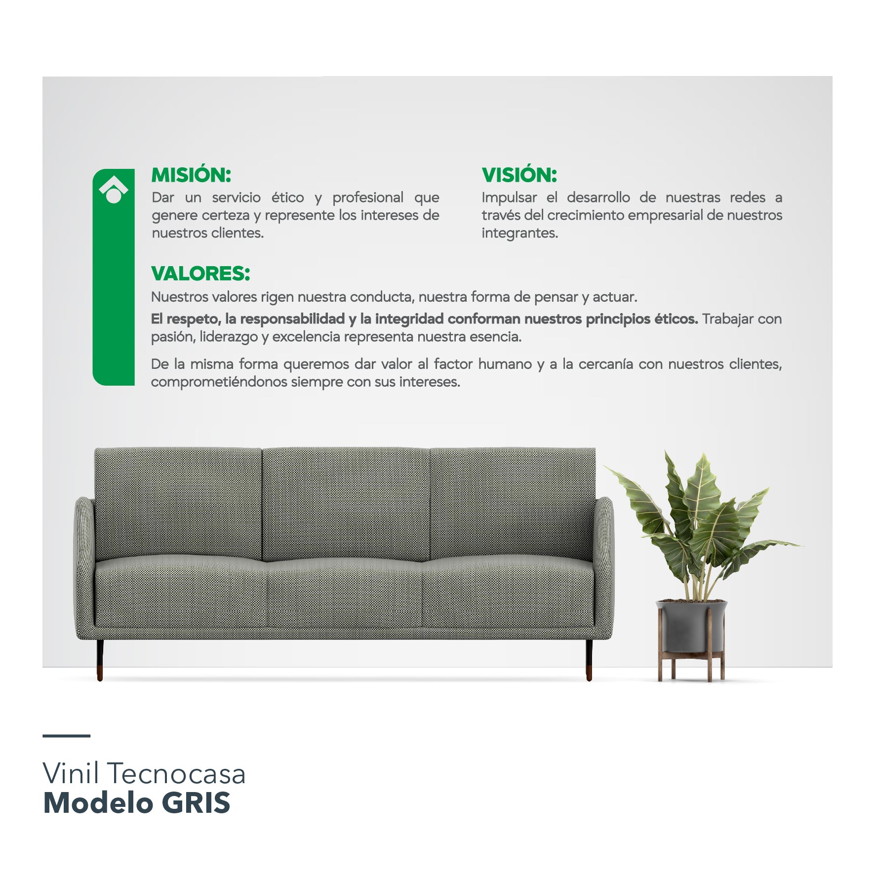 Vinil Tecnocasa / Modelo A: Misión, Visión y Valores