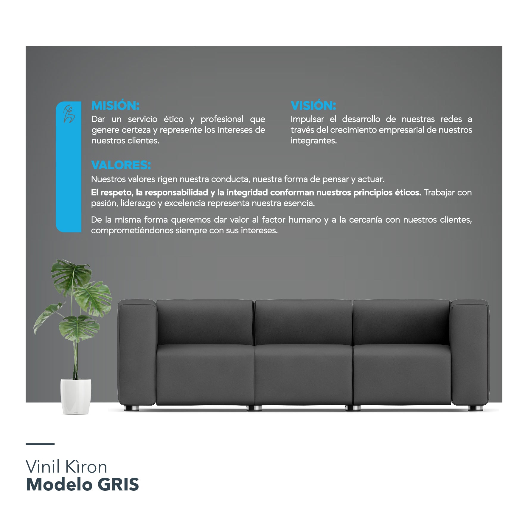 Vinil Kìron / Modelo A: Misión, Visión y Valores