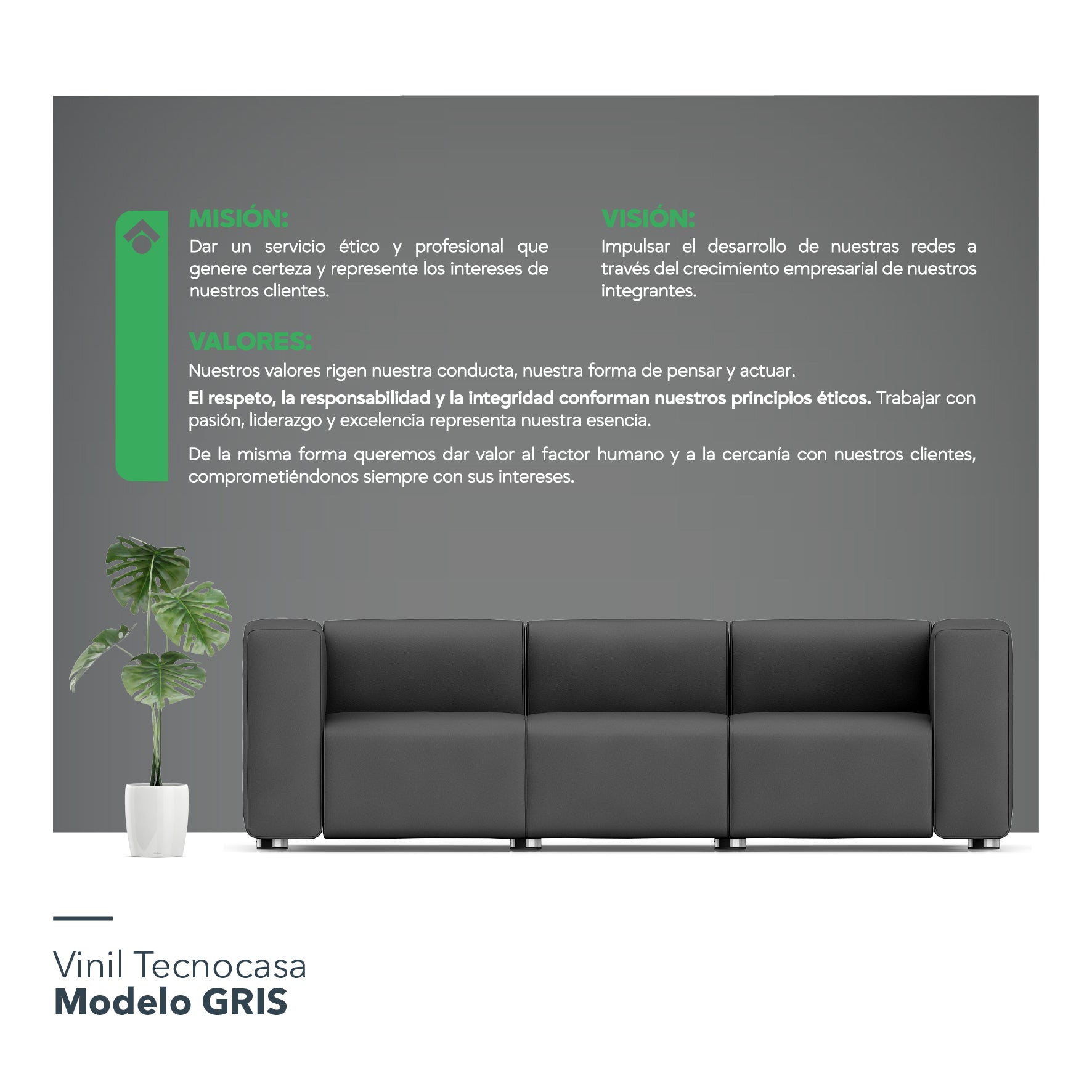 Vinil Tecnocasa / Modelo A: Misión, Visión y Valores