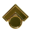 Pin Franquiciatario Tecnocasa